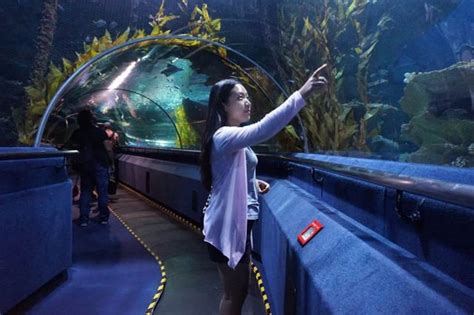 吉隆坡 水族館